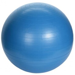 ballon de fitness avec pompe 55 cm bleu