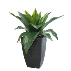 Agave Succulente plante artificielle cactee en pot H 35 cm Vert Type C - couleur: Vert - div: C