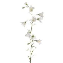 Campanule artificielle en tige Fleur artificielle des champs H 65 cm ideale pour bouquet Blanc neige - couleur: Blanc neige