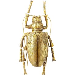 Déco murale Longicorn Beetle dorée