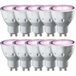 10 x Ampoule Paulmann Réflecteur LED 5 W GU10 Rose 30 °