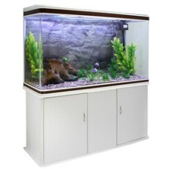 Aquarium blanc avec meuble de support blanc assorti et gravier naturel
